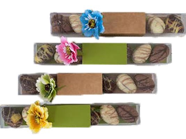 Koker met bb eitjes 25 cm.